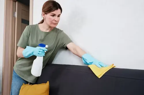 6. Limpieza-a-fondo-de-textil-y-tapicería